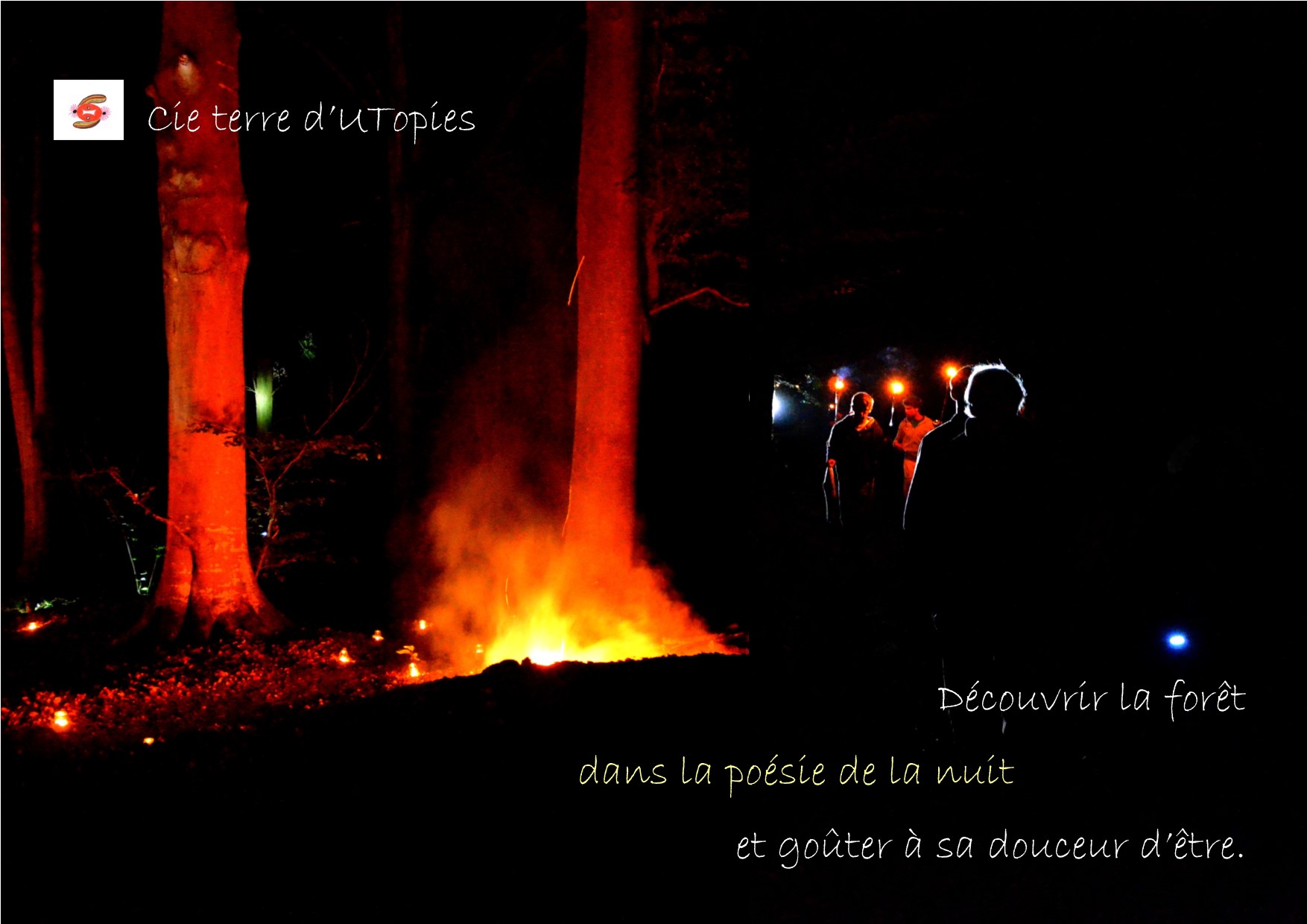 Performance Découvrir la Forêt dans la Poésie de la Nuit et...jpg
